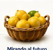 Cesta de limones